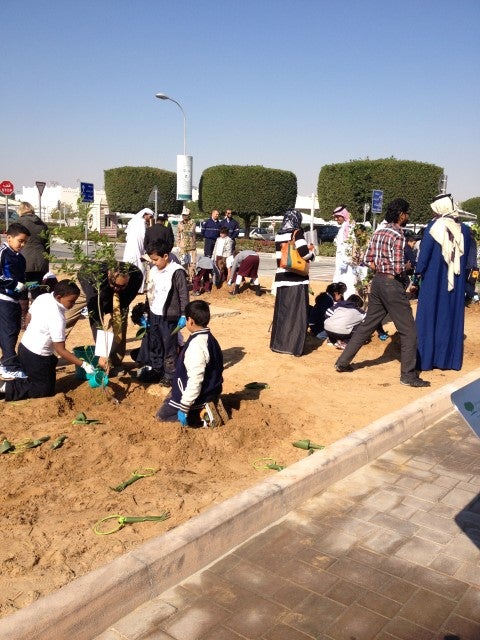 A Million Trees Start with One Seed