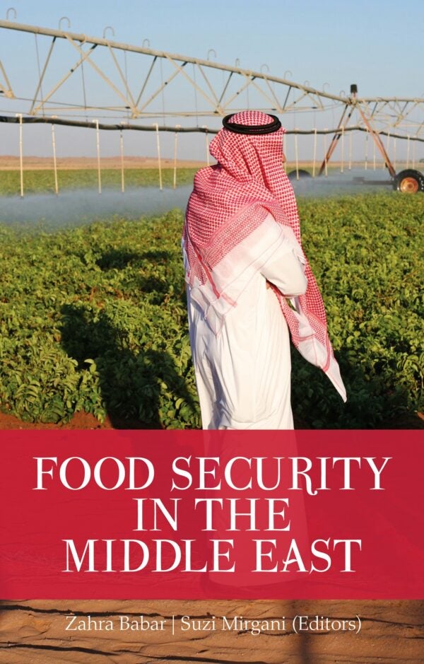 Food Security Book Cover