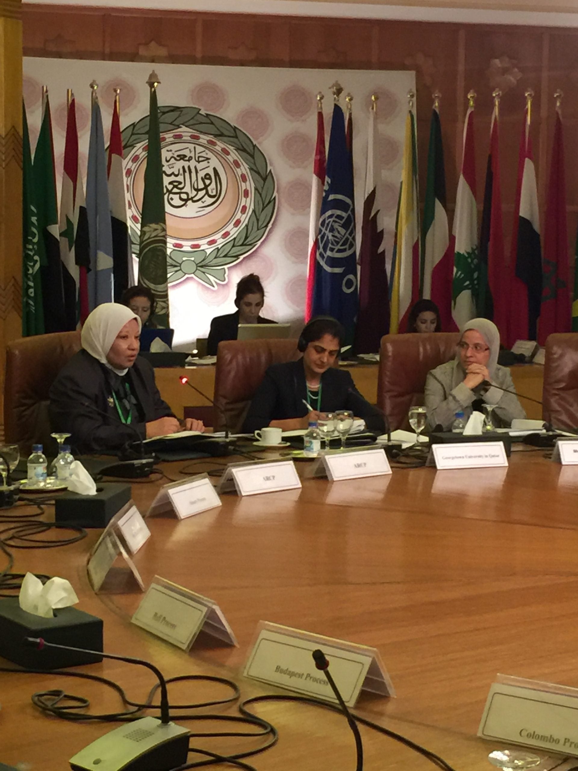 Zahra Babar at the RCP Meeting
