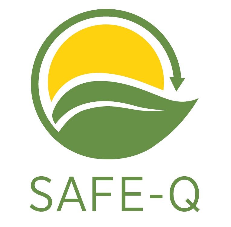 SAFE-Q