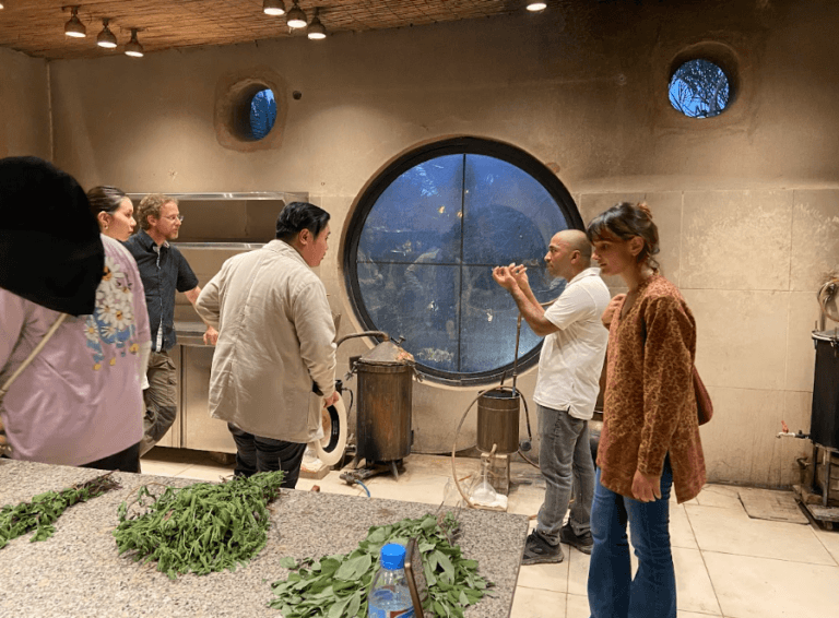 A group of people stand and talk in a rustic kitchen with a large round window. Green herbs are spread on a countertop in the foreground, and distillation equipment is set up by the window.