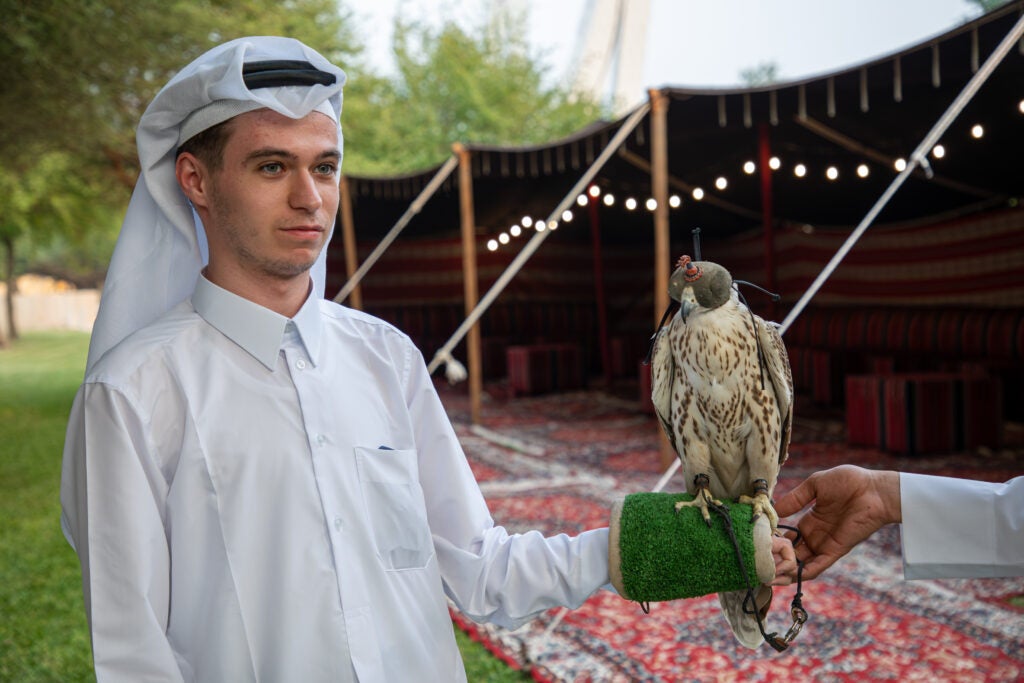 A man in traditional Qatari clothing stands outdoors holding a falcon on his gloved arm, with a hand steadying the bird. A tent with patterned carpets is visible in the background.