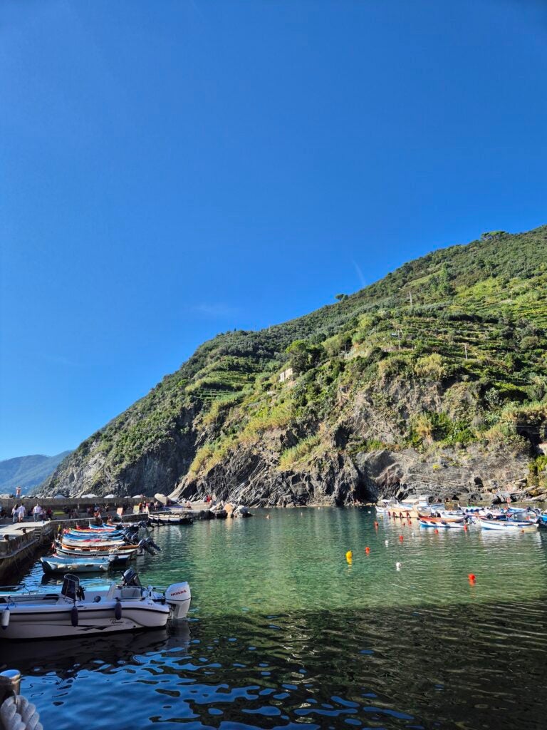Small boats are docked in a calm, clear harbor surrounded by steep, green hills under a bright blue sky.