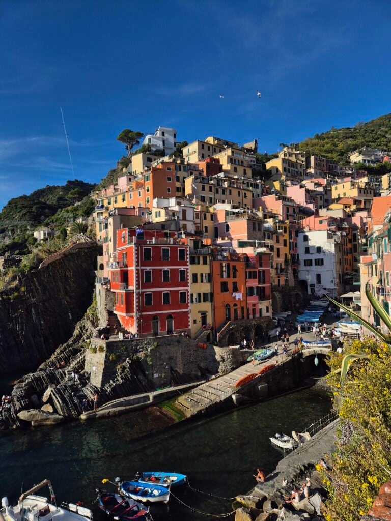 Colorful buildings line a steep hillside above a small harbor with boats in Riomaggiore, Italy, under a clear blue sky. People walk near the waterfront and stairs, with lush greenery on the surrounding hills.