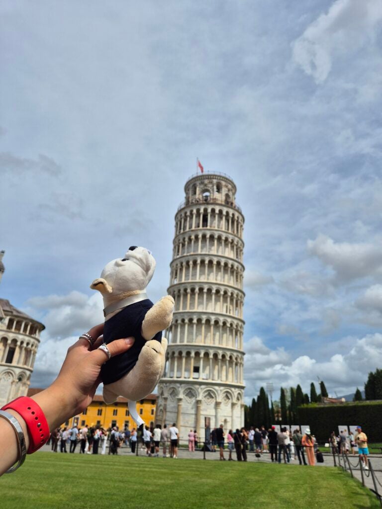 A hand holds a stuffed dog toy in front of the Leaning Tower of Pisa, making it appear as if the toy is looking up at the famous landmark. Tourists and green grass are visible in the background.