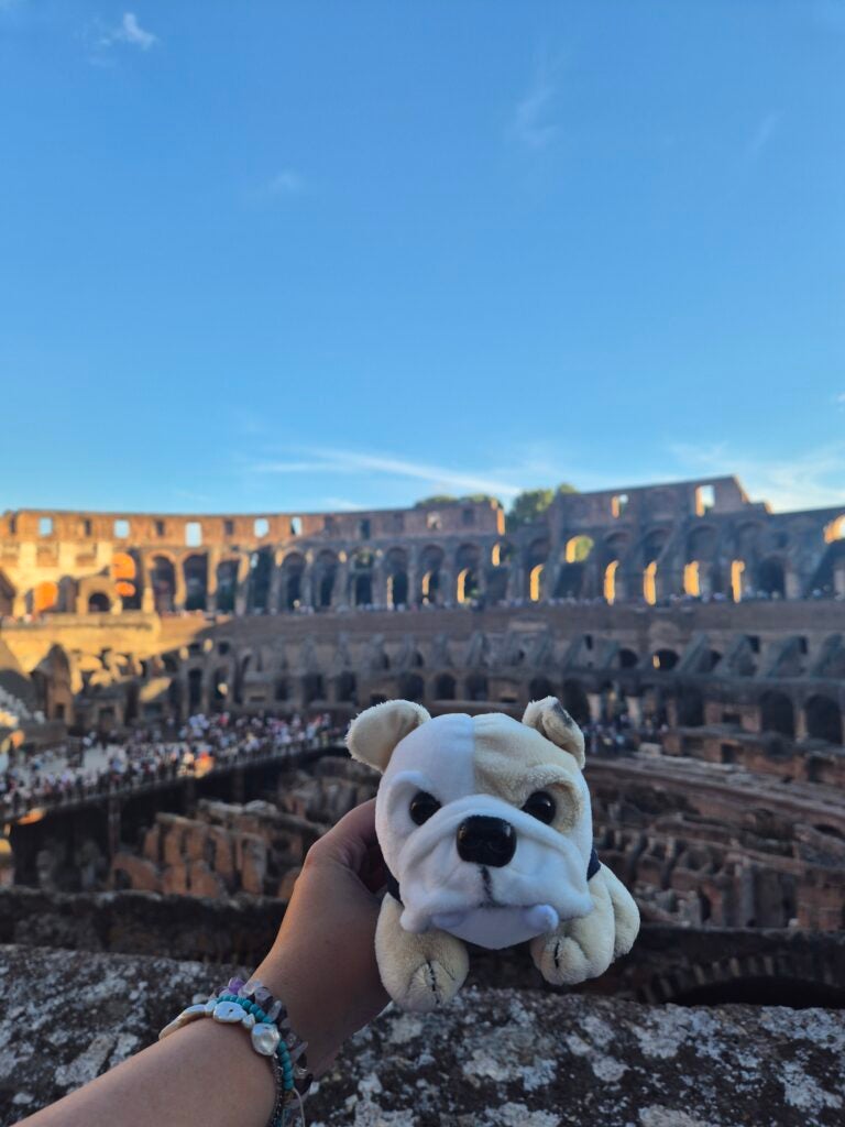 A hand holds a small stuffed bulldog toy in front of the Colosseum in Rome, with blue sky above and crowds inside the ancient amphitheater.