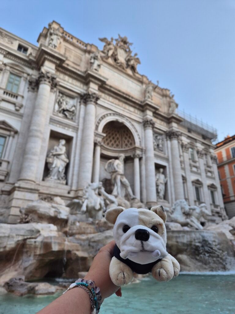 A hand holds a small plush bulldog toy in front of the Trevi Fountain in Rome, with the ornate stone architecture and statues visible in the background.