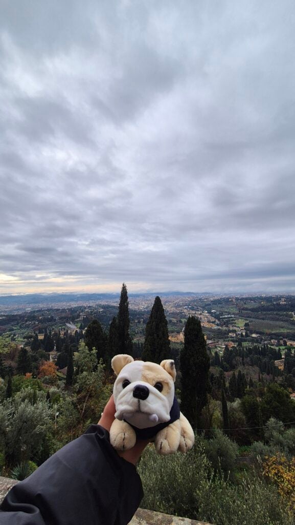 A person holds a small plush bulldog toy in the foreground with a cloudy sky, tall trees, and a scenic landscape visible in the background.