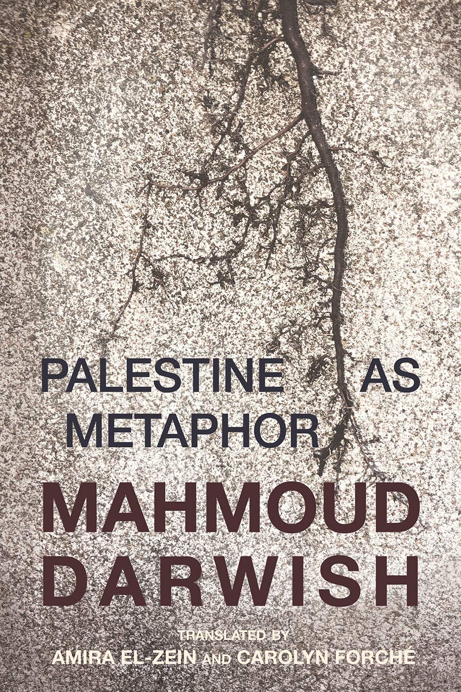 Palestine as Metaphor (Olive Branch Press)